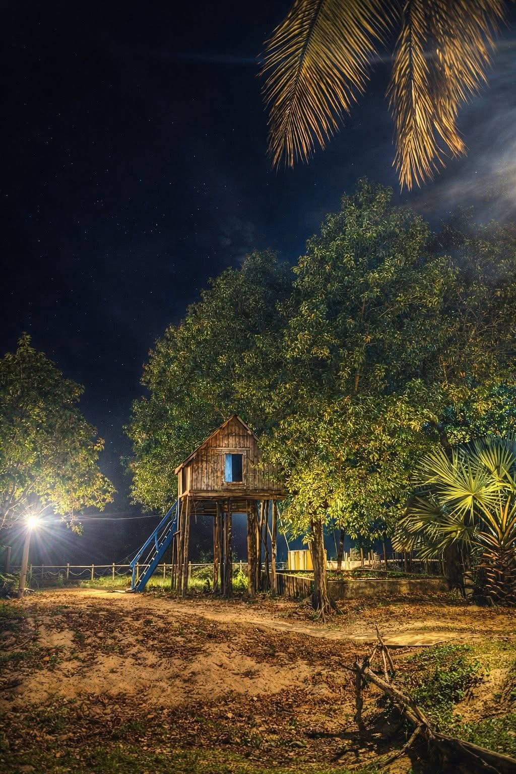 Treehouse Pod at Night